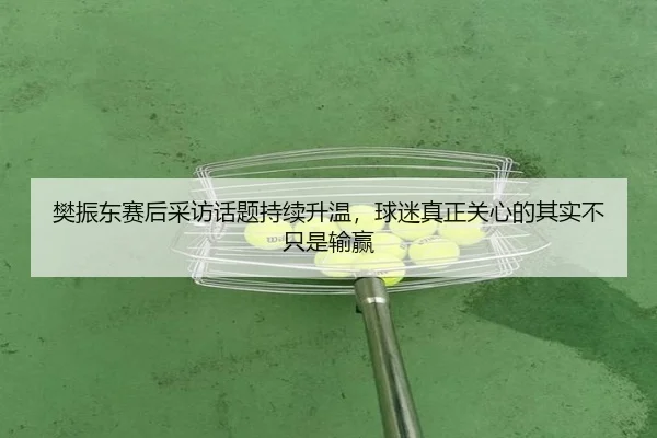 樊振东赛后采访话题持续升温，球迷真正关心的其实不只是输赢